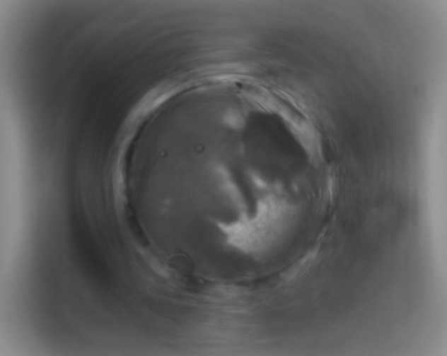 X0000114440339200910231322