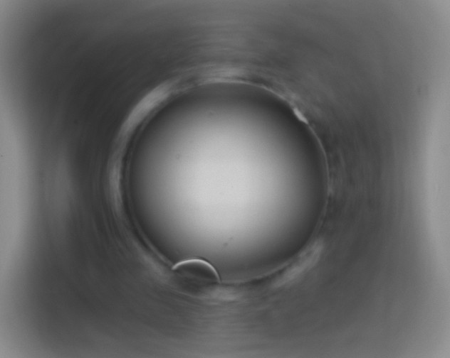 X0000114440341200910231322