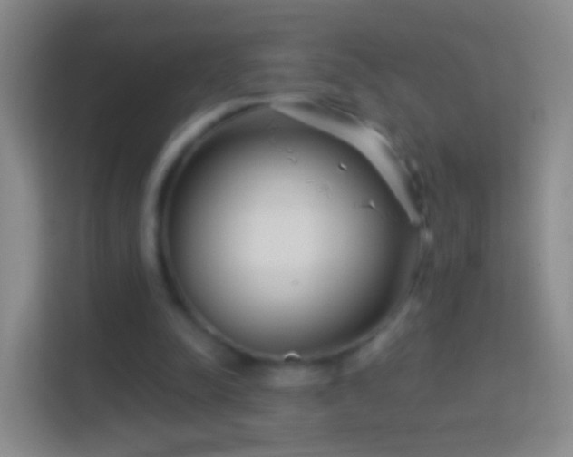 X0000114440342200910231322