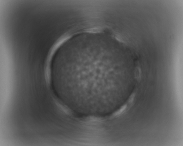 X0000114440343200910231322