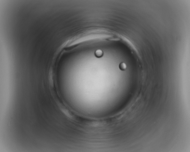 X0000114440345200910231322