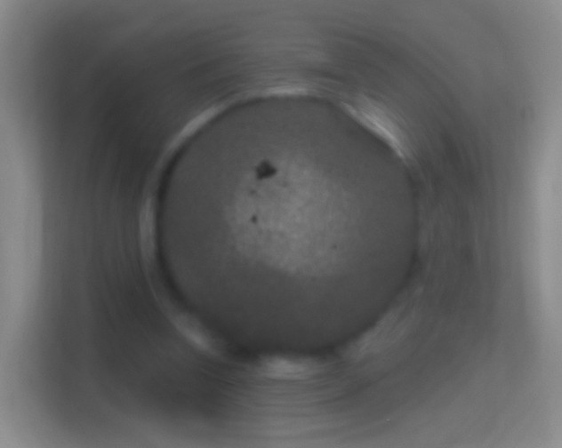 X0000114440346200910231322