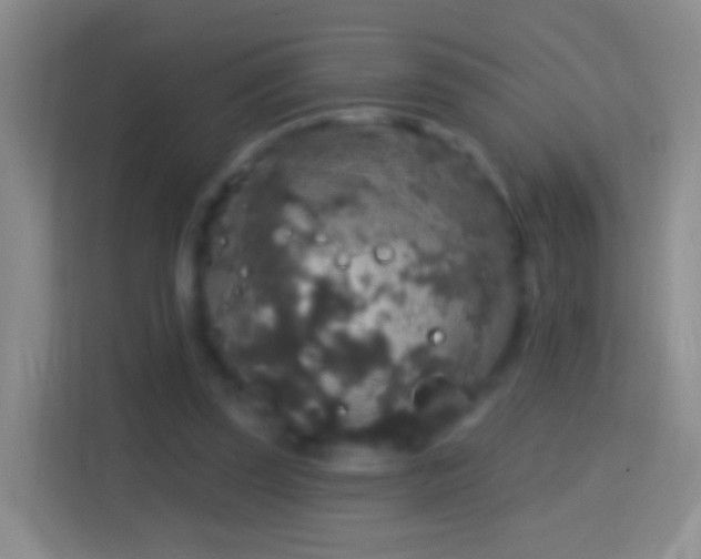 X0000114440347200910231322