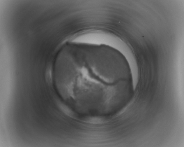 X0000114440349200910231323