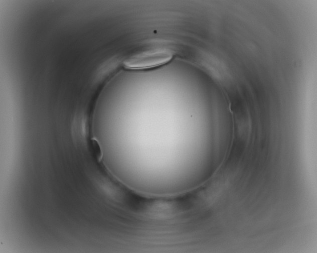 X0000114440350200910231323