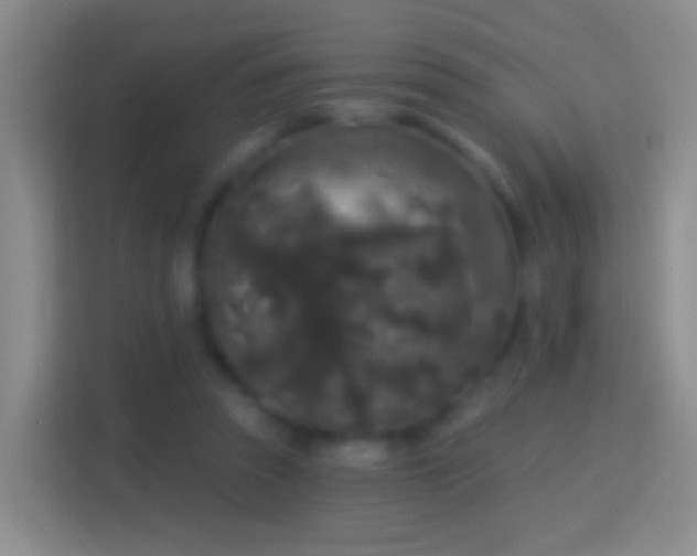 X0000114440353200910231323