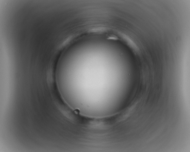 X0000114440354200910231323