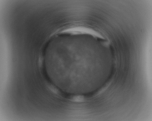 X0000114440355200910231323