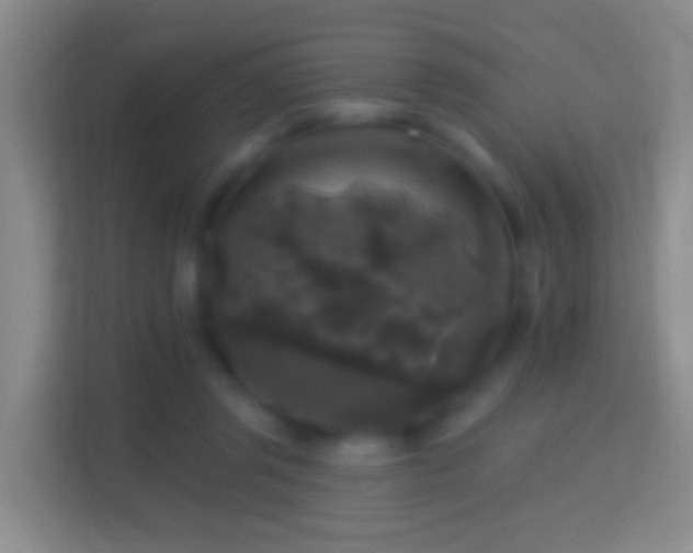 X0000114440357200910231323