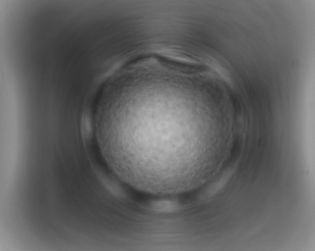 X0000114440358200910231323