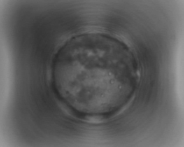 X0000114440359200910231323