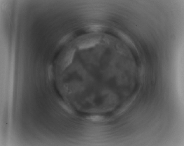 X0000114440361200910231323