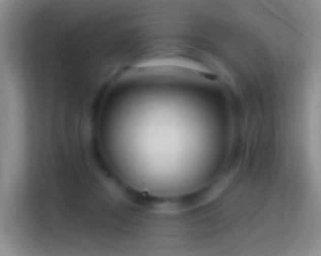 X0000114440362200910231323