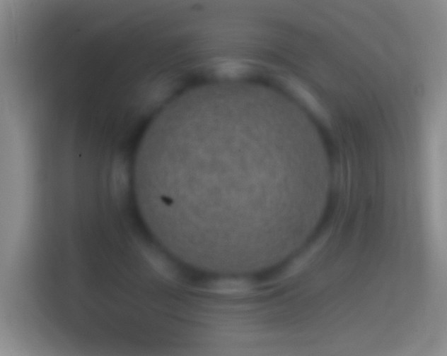 X0000114440363200910231323