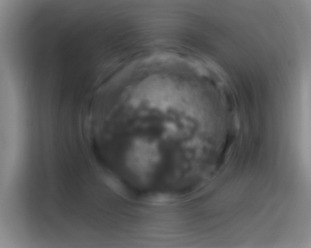 X0000114440365200910231323