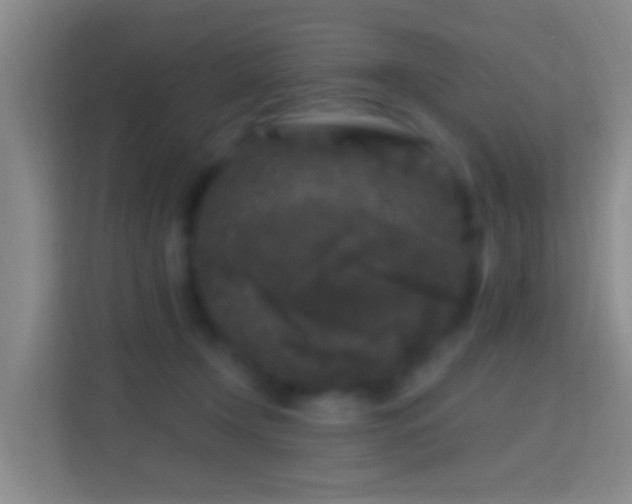 X0000114440366200910231323