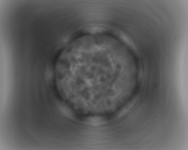 X0000114440367200910231323