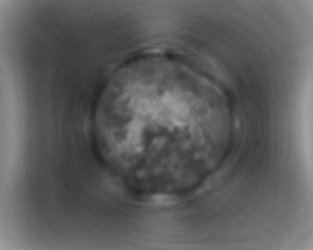 X0000114440371200910231323