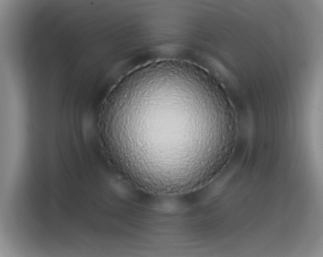 X0000114440377200910231323