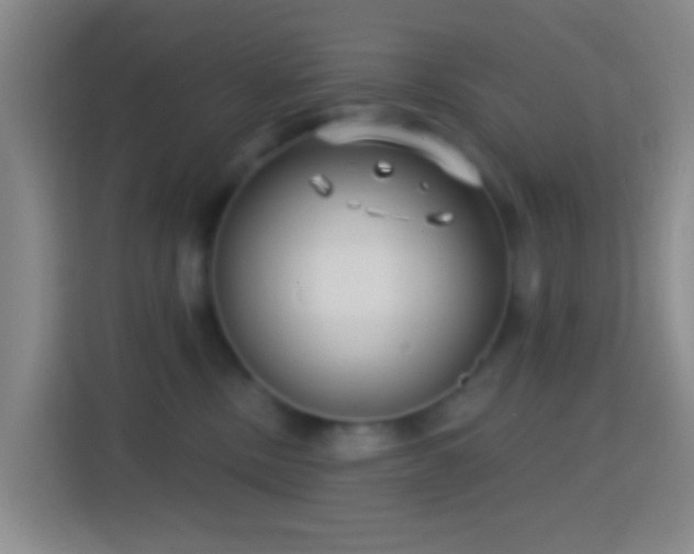 X0000114440378200910231323