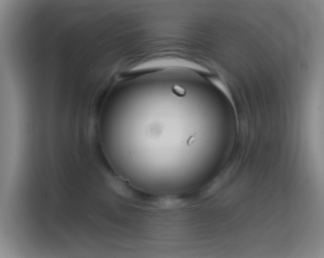 X0000114440379200910231323