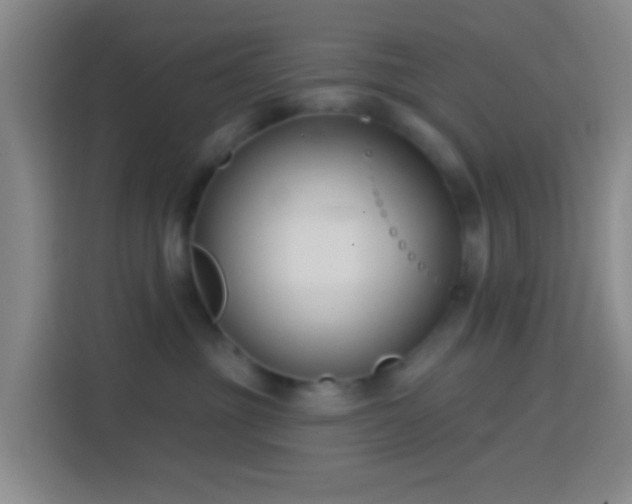 X0000114440381200910231323