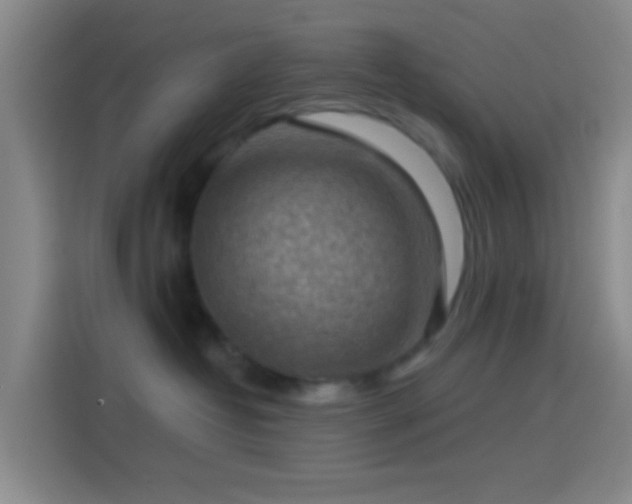 X0000114440382200910231323