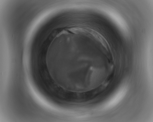 X0000114440383200910231323