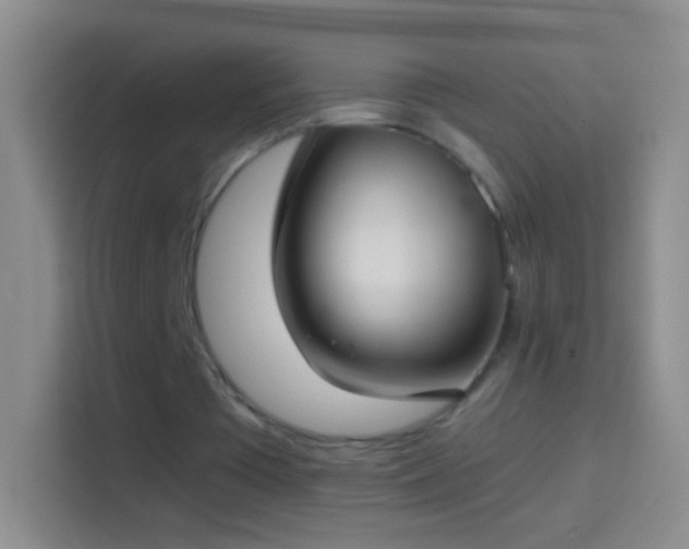 X0000114440385200910231322