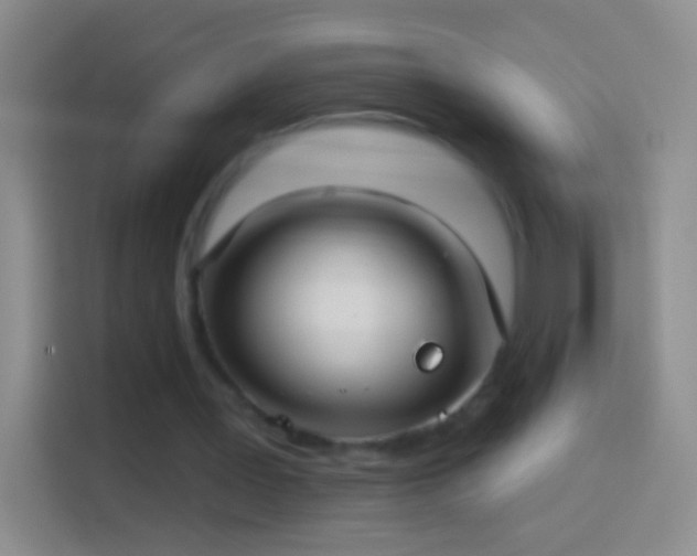 X0000114440387200910231322