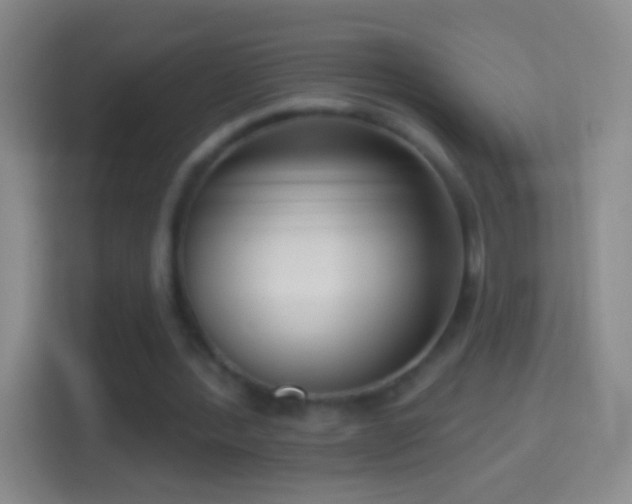 X0000114440388200910231322