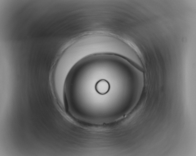 X0000114440389200910231322