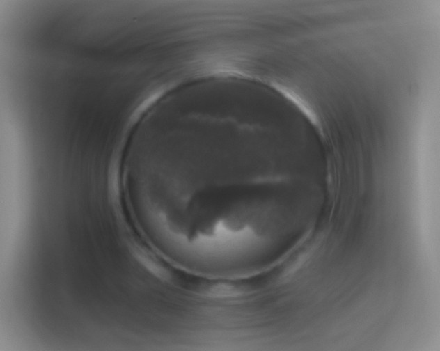 X0000114440390200910231322