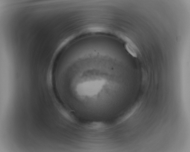 X0000114440391200910231322