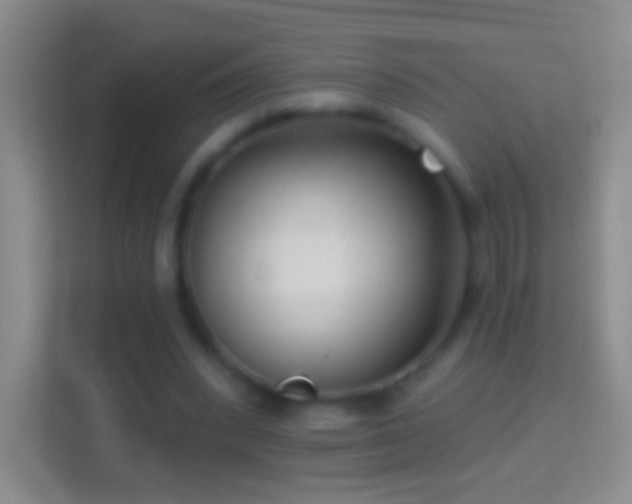 X0000114440392200910231322