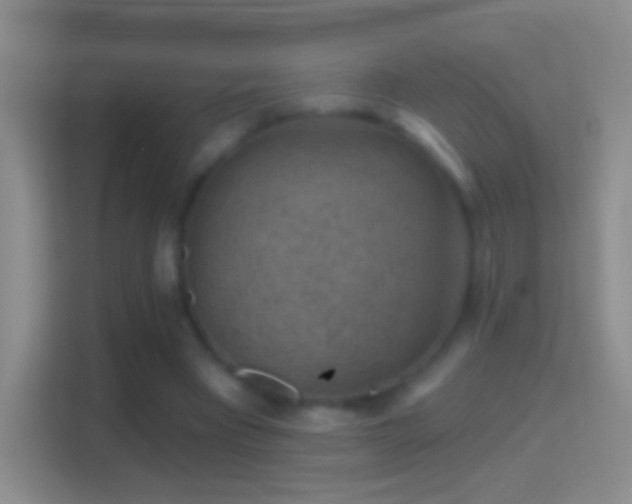 X0000114440393200910231322