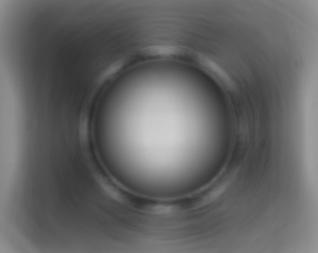 X0000114440394200910231322