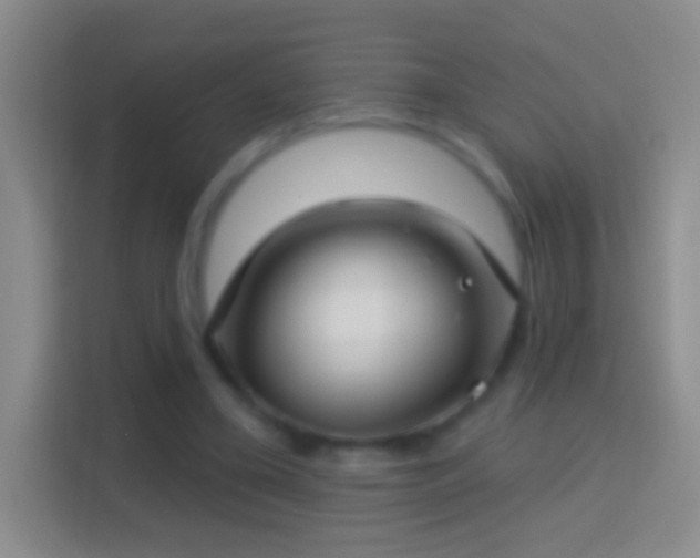 X0000114440395200910231322