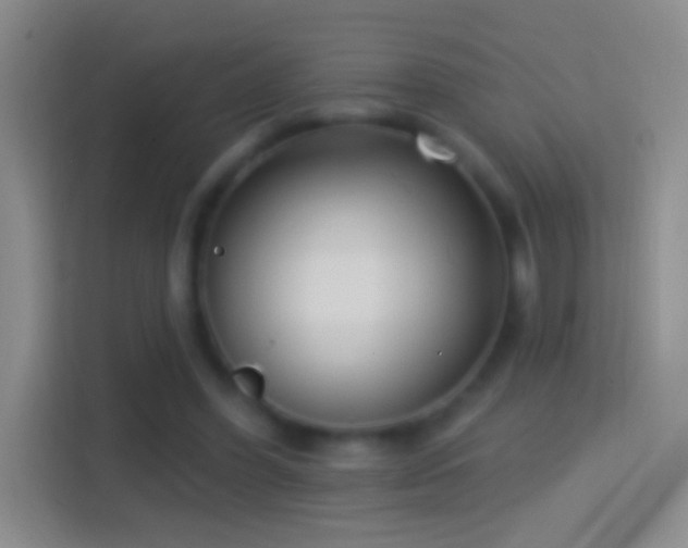 X0000114440396200910231322