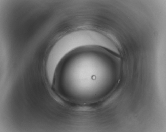 X0000114440397200910231322