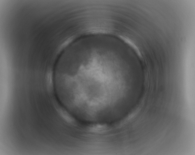 X0000114440398200910231322