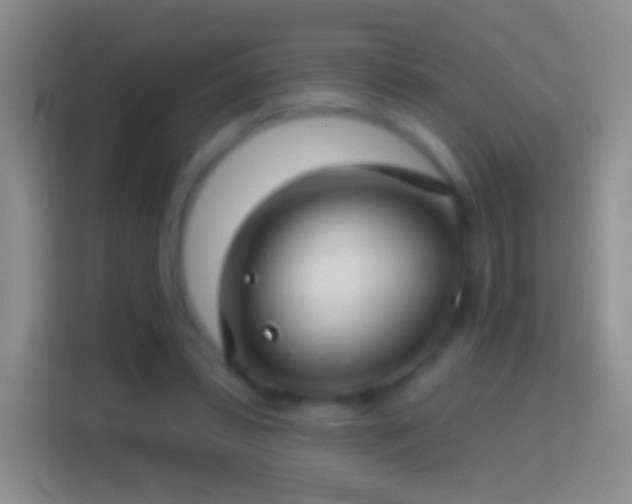 X0000114440399200910231322