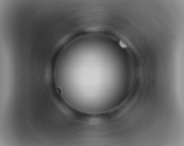 X0000114440400200910231322