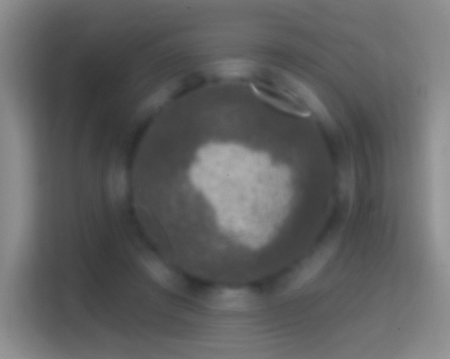 X0000114440401200910231322