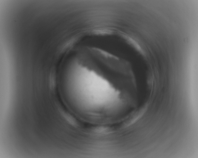 X0000114440402200910231322