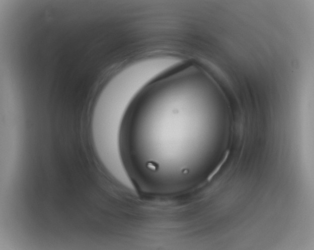 X0000114440403200910231322