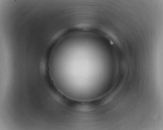 X0000114440404200910231322