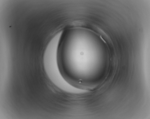 X0000114440405200910231322