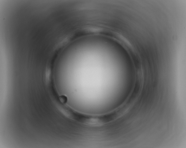 X0000114440406200910231322