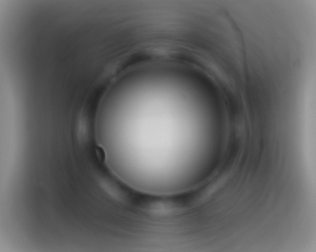 X0000114440408200910231322